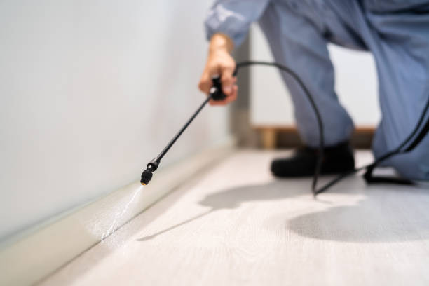 Bed Bug Pre-Treatment Preparation Assessment in Rome